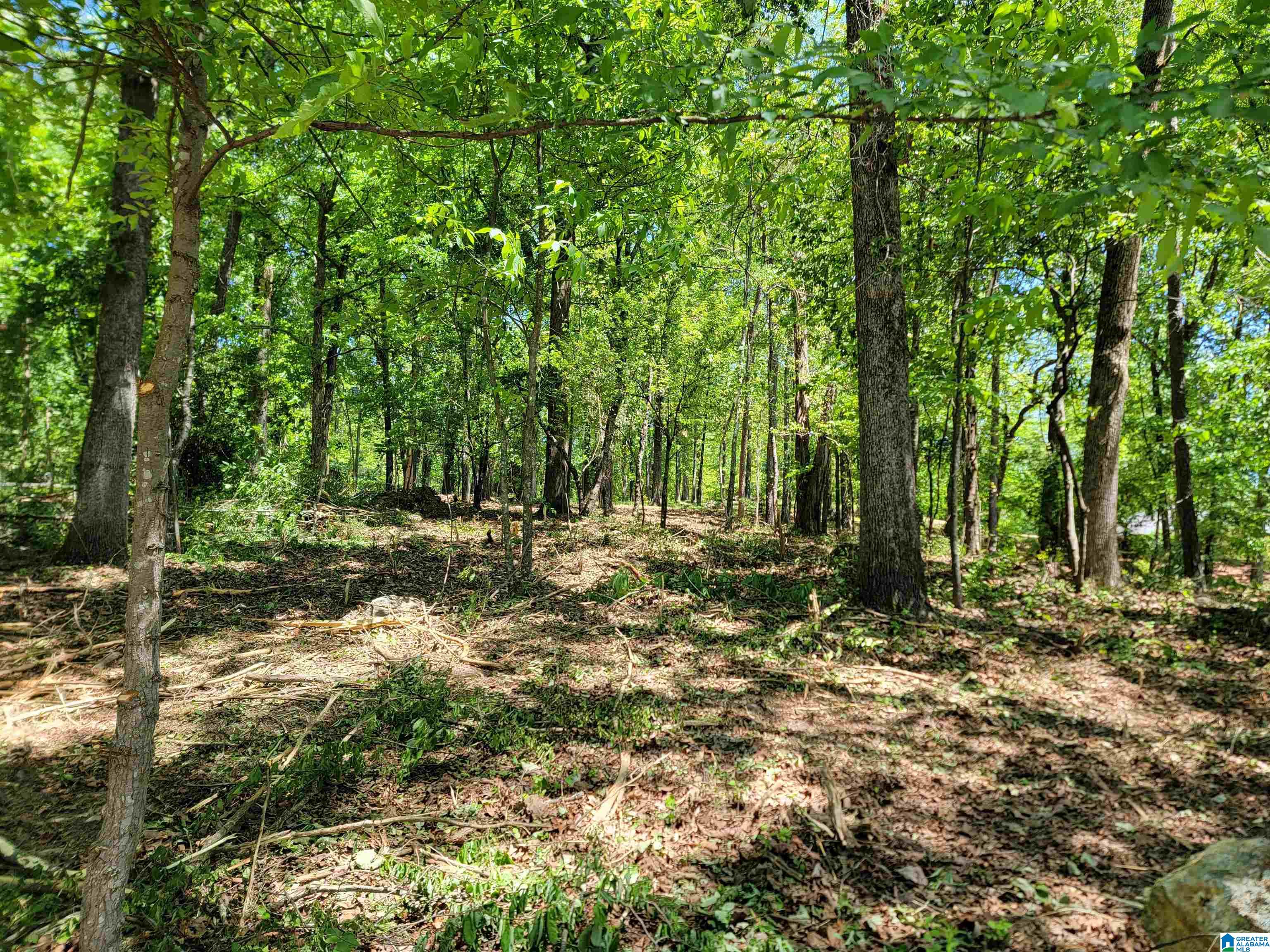 0 Clearwater Point Road, Unit 5 Cropwell, AL 35054 - Photo 14 of 15