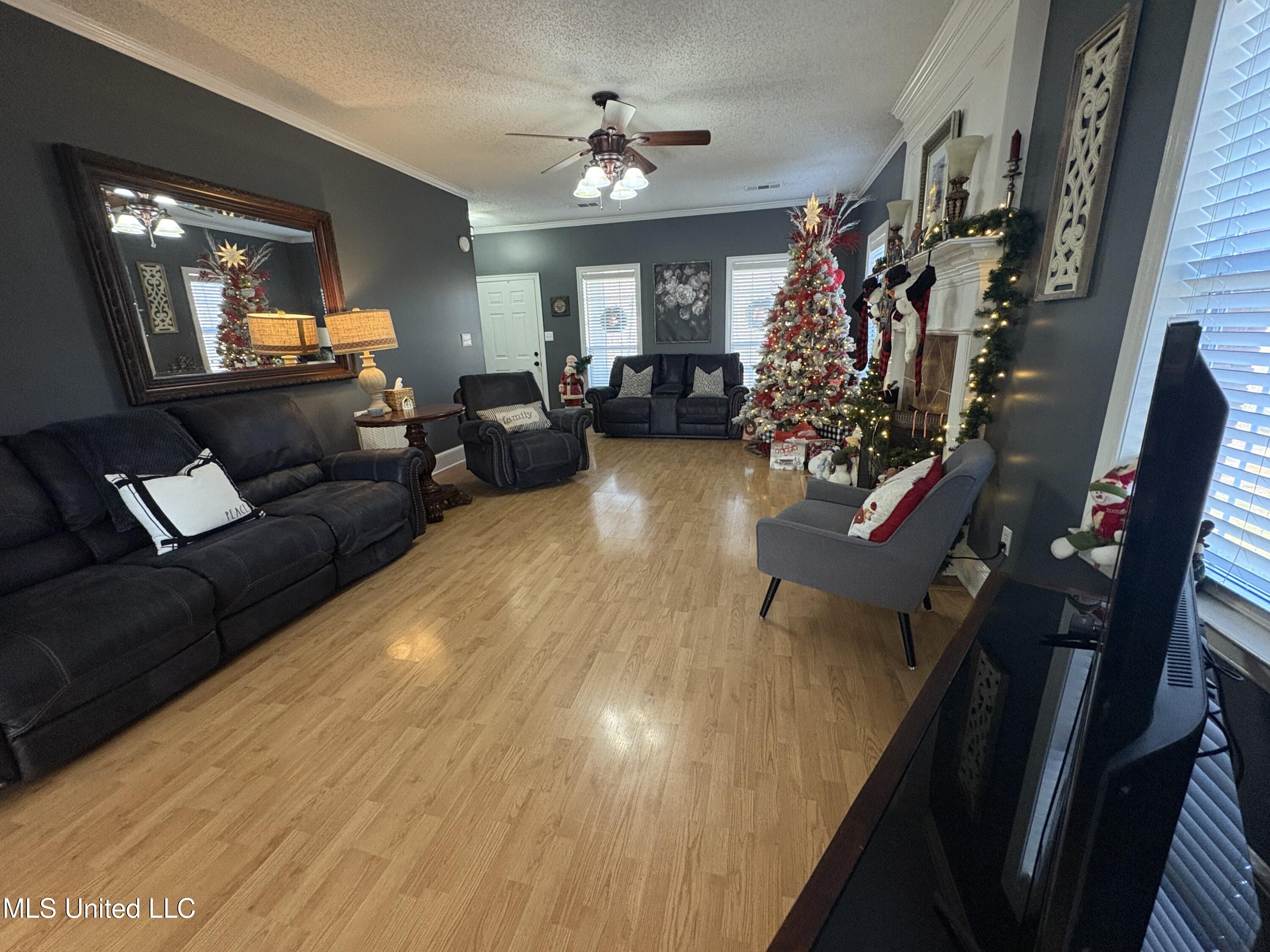 4547 Star Landing Road Nesbit, MS 38651 - Photo 6 of 28 Great Room
