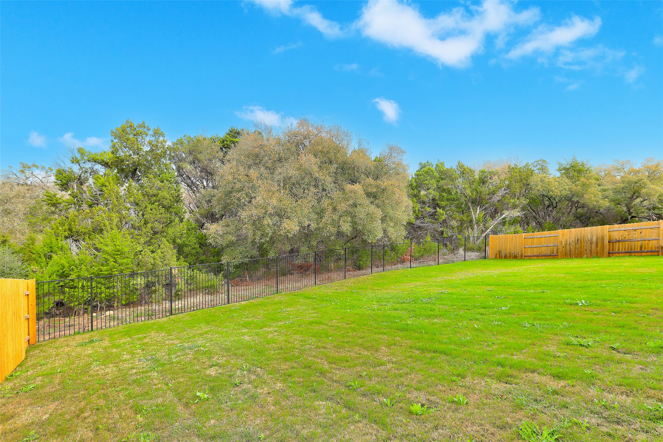 104 Rocky River Road Georgetown, TX 78628 - Photo 38 of 39 a view of a grassy field with trees in the background
