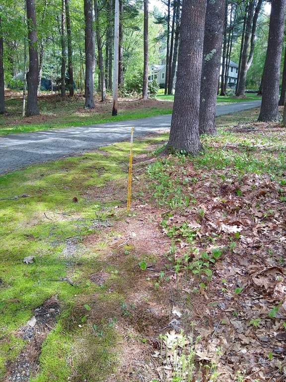 534 Ipswich Road Boxford, MA 01921 - Photo 2 of 6