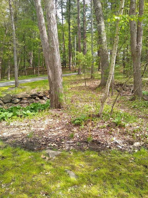 534 Ipswich Road Boxford, MA 01921 - Photo 4 of 6