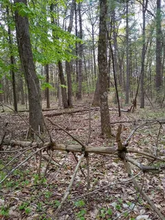 $550,000 | 534 Ipswich Road, Boxford, MA 01921