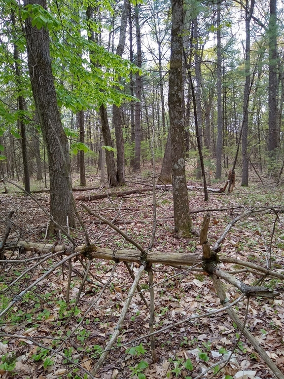 534 Ipswich Road Boxford, MA 01921 - Photo 5 of 6