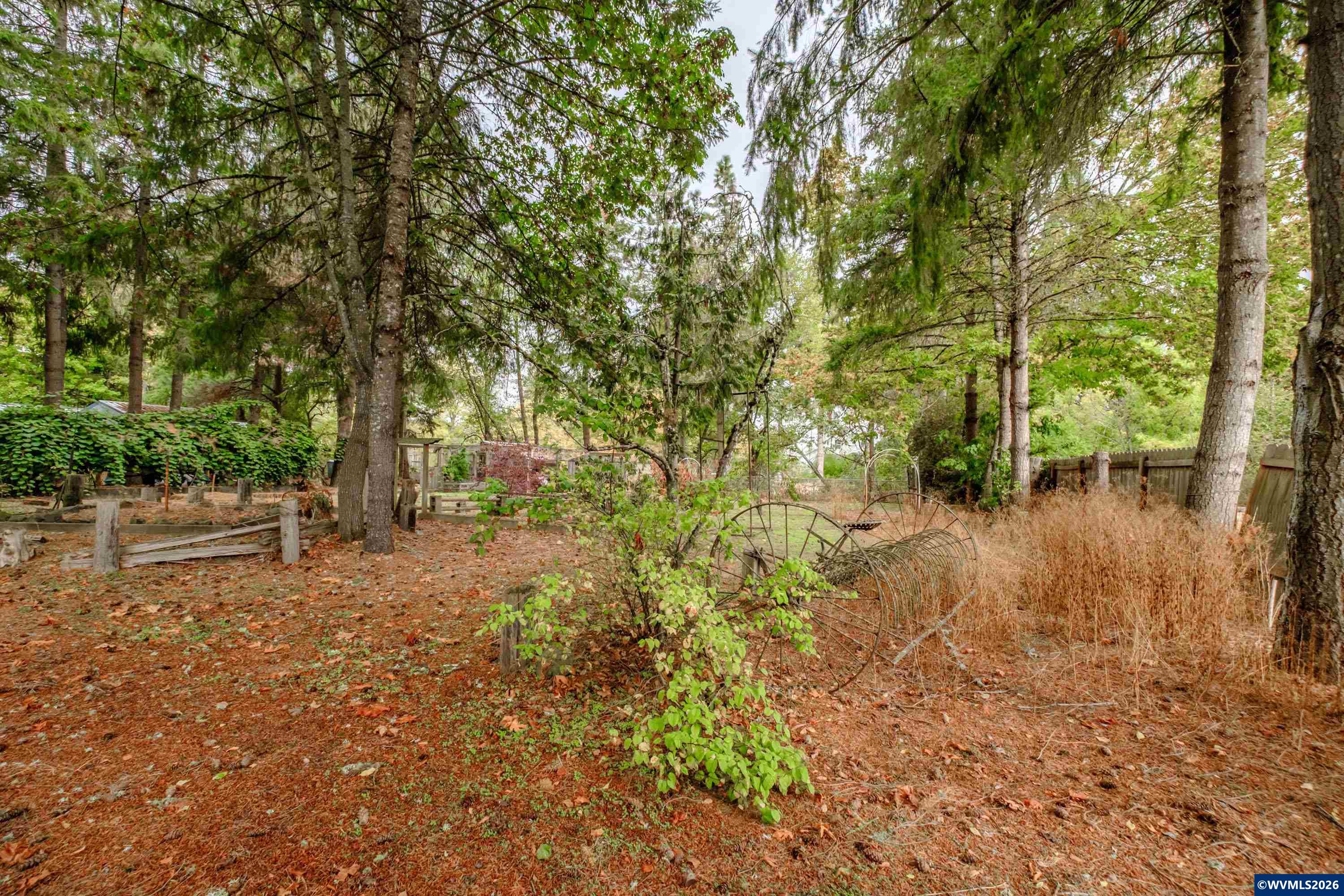 Lot 030100 Southwest Beech Street Scio, OR 97374 - Photo 41 of 41