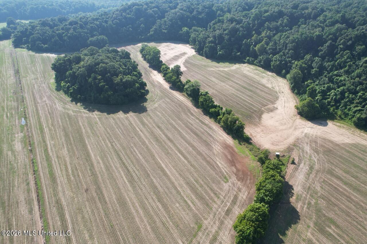 Annas Bottom Road Natchez, MS 39120 - Photo 2 of 48 DJI_0377 Large