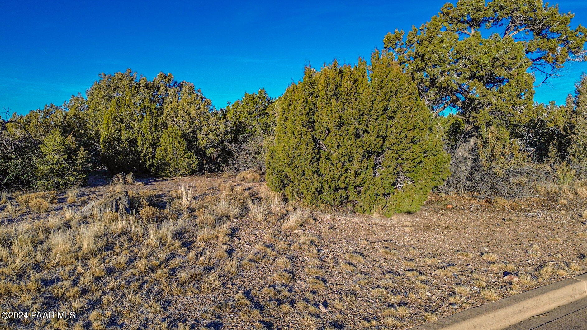 5775 West Three Forks Road Prescott, AZ 86305 - Photo 2 of 9 8-web-or-mls-5775-w-three-forks-rd
