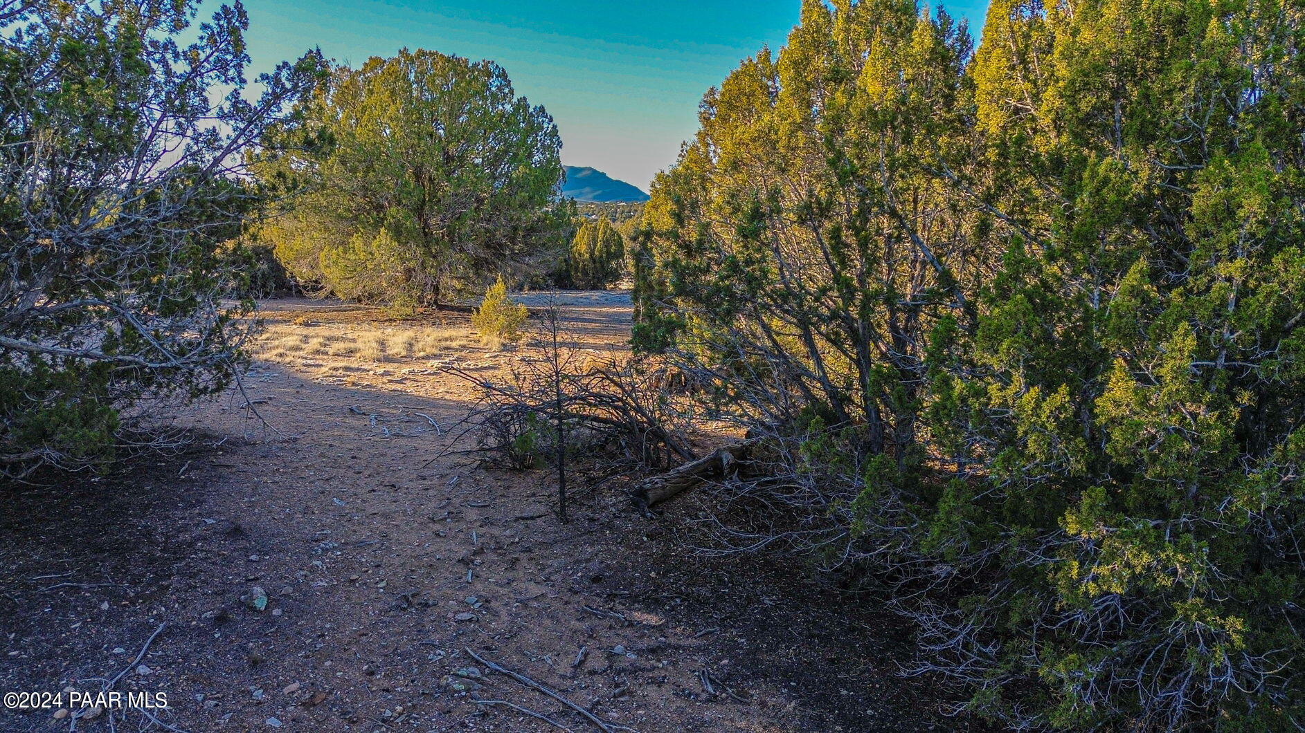 5775 West Three Forks Road Prescott, AZ 86305 - Photo 7 of 9 5-web-or-mls-5775-w-three-forks-rd