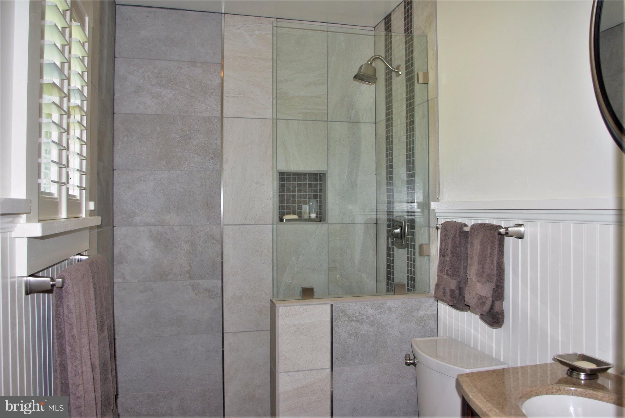 3699 Slate Mills Road Sperryville, VA 22740 - Photo 13 of 21 Renovated bath with glass-front shower