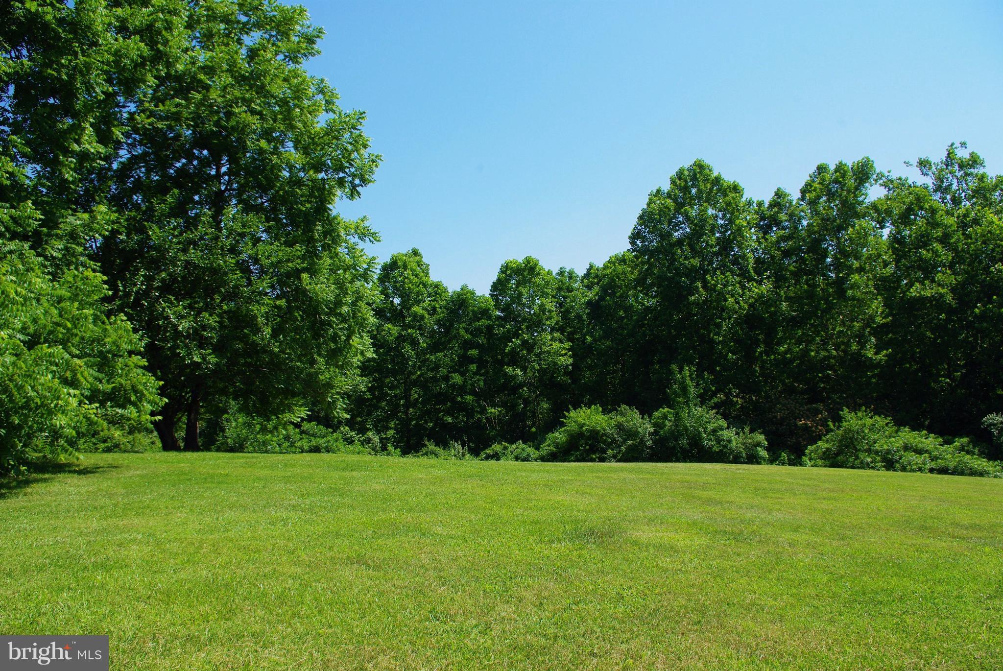 3699 Slate Mills Road Sperryville, VA 22740 - Photo 19 of 21 Backyard view
