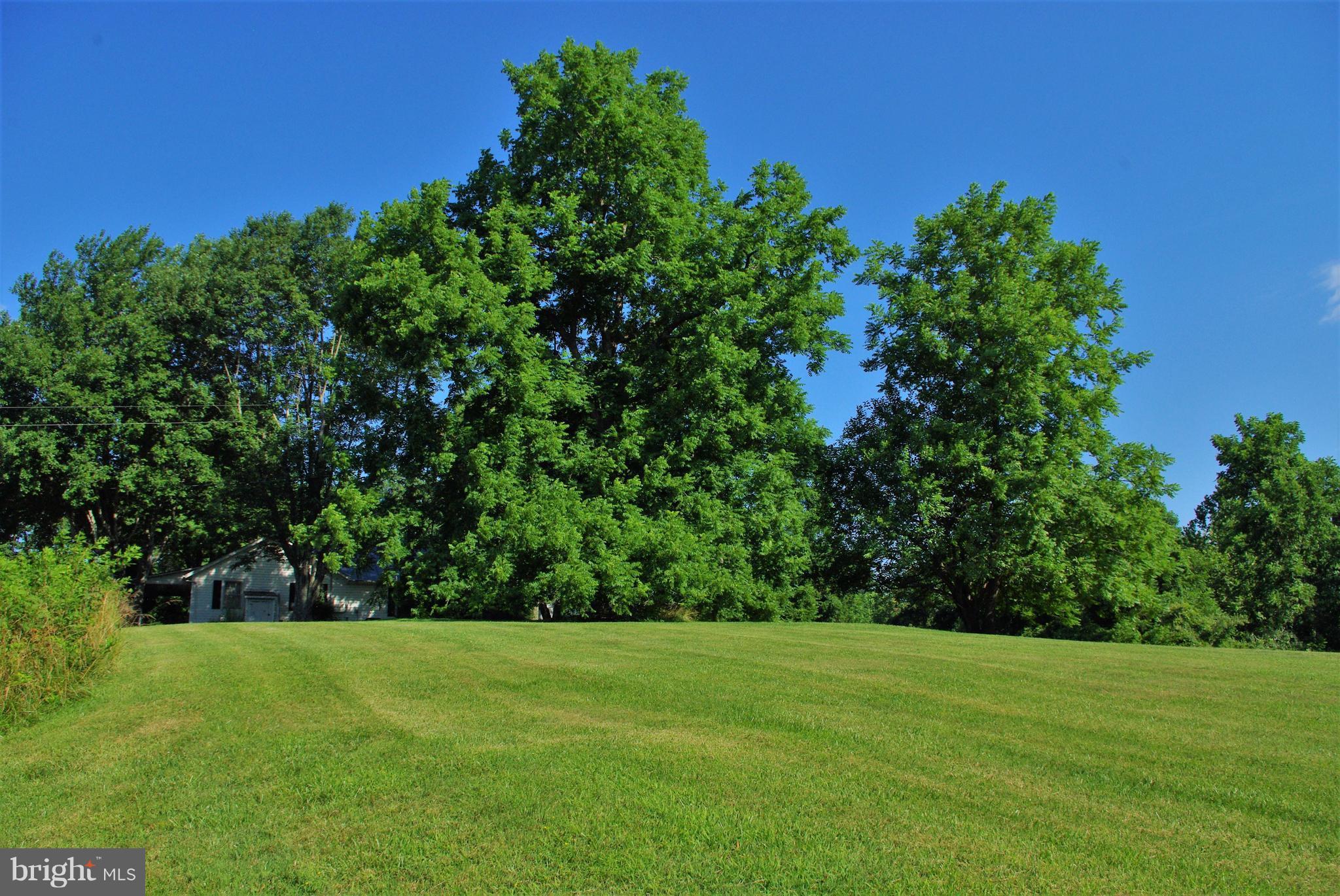 3699 Slate Mills Road Sperryville, VA 22740 - Photo 20 of 21 Tucked in the shade trees