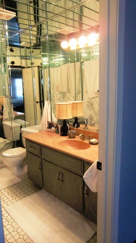 15528 Whitehall Lane Orland Park, IL 60462 - Photo 19 of 23