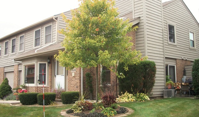 15528 Whitehall Lane Orland Park, IL 60462 - Photo 2 of 23