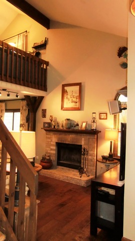 15528 Whitehall Lane Orland Park, IL 60462 - Photo 4 of 23