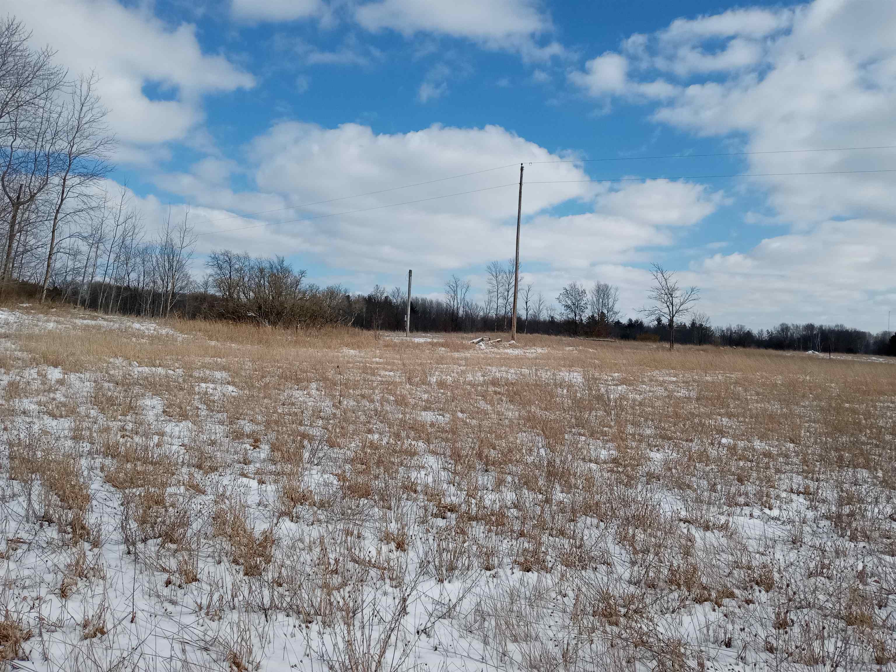 Tbd Roosevelt Road Remus, MI 49340 - Photo 3 of 27 1897397-2.JPG