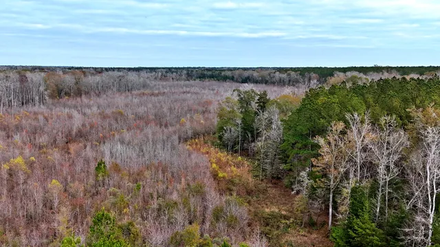 $1,285,000 | 1215 Sandy Run Circle, Summerville, SC 29486