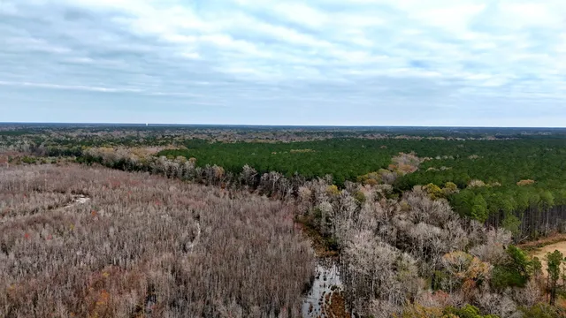 $1,285,000 | 1215 Sandy Run Circle, Summerville, SC 29486