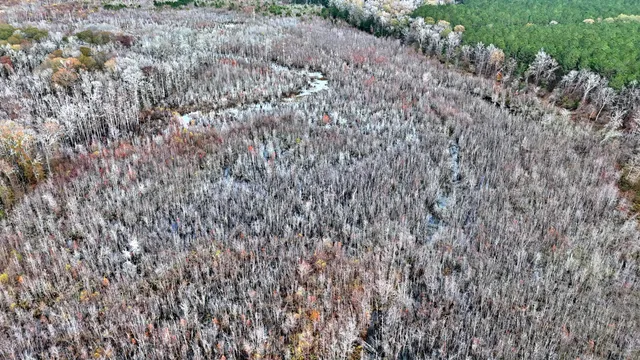 $1,285,000 | 1215 Sandy Run Circle, Summerville, SC 29486