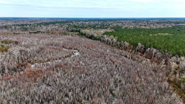 $1,285,000 | 1215 Sandy Run Circle, Summerville, SC 29486