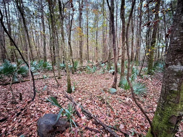 $1,285,000 | 1215 Sandy Run Circle, Summerville, SC 29486