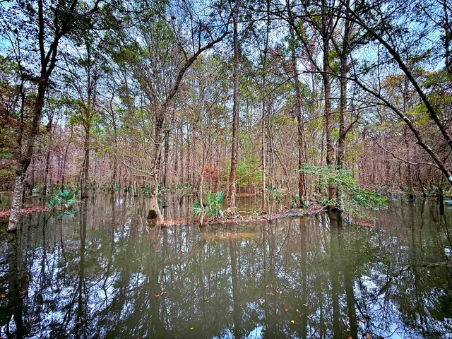 $1,285,000 | 1215 Sandy Run Circle, Summerville, SC 29486