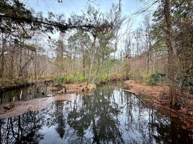 $1,285,000 | 1215 Sandy Run Circle, Summerville, SC 29486