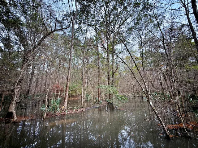 $1,285,000 | 1215 Sandy Run Circle, Summerville, SC 29486