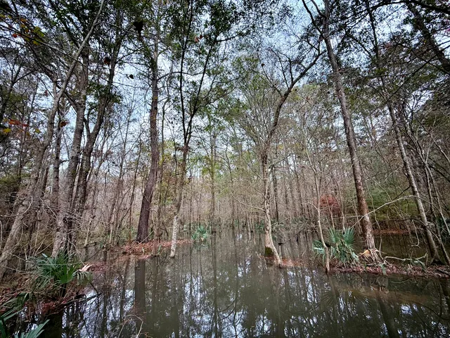 $1,285,000 | 1215 Sandy Run Circle, Summerville, SC 29486