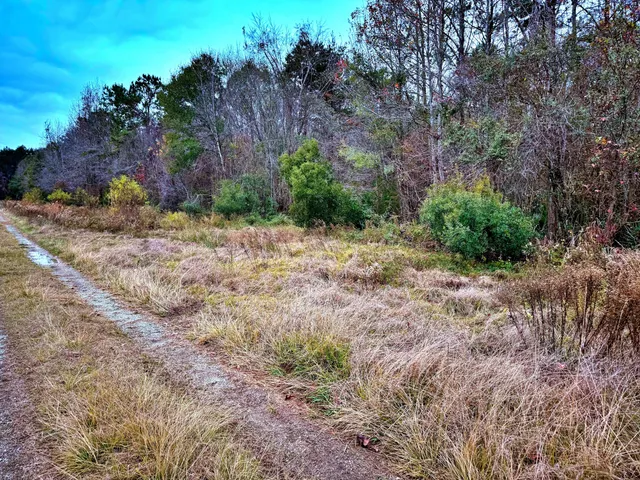 $1,285,000 | 1215 Sandy Run Circle, Summerville, SC 29486