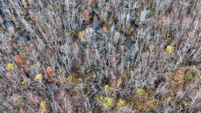 $1,285,000 | 1215 Sandy Run Circle, Summerville, SC 29486