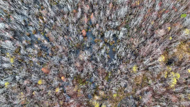 $1,285,000 | 1215 Sandy Run Circle, Summerville, SC 29486