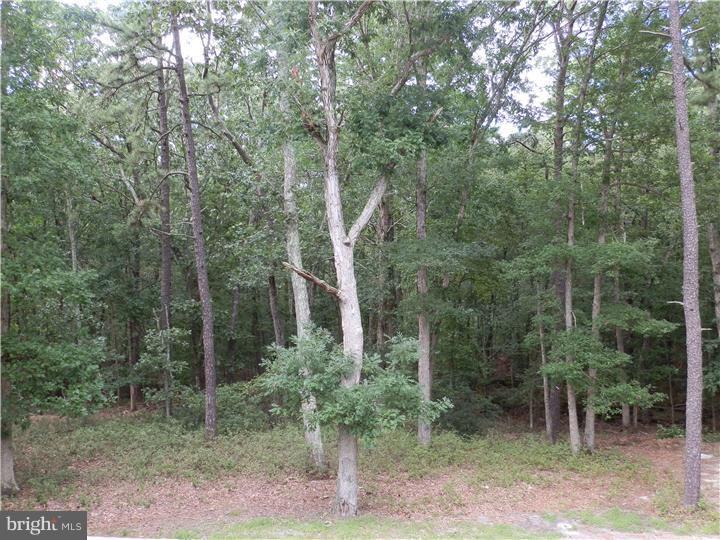 456 Carranza Road Tabernacle, NJ 08088 - Photo 22 of 24 Back Yard