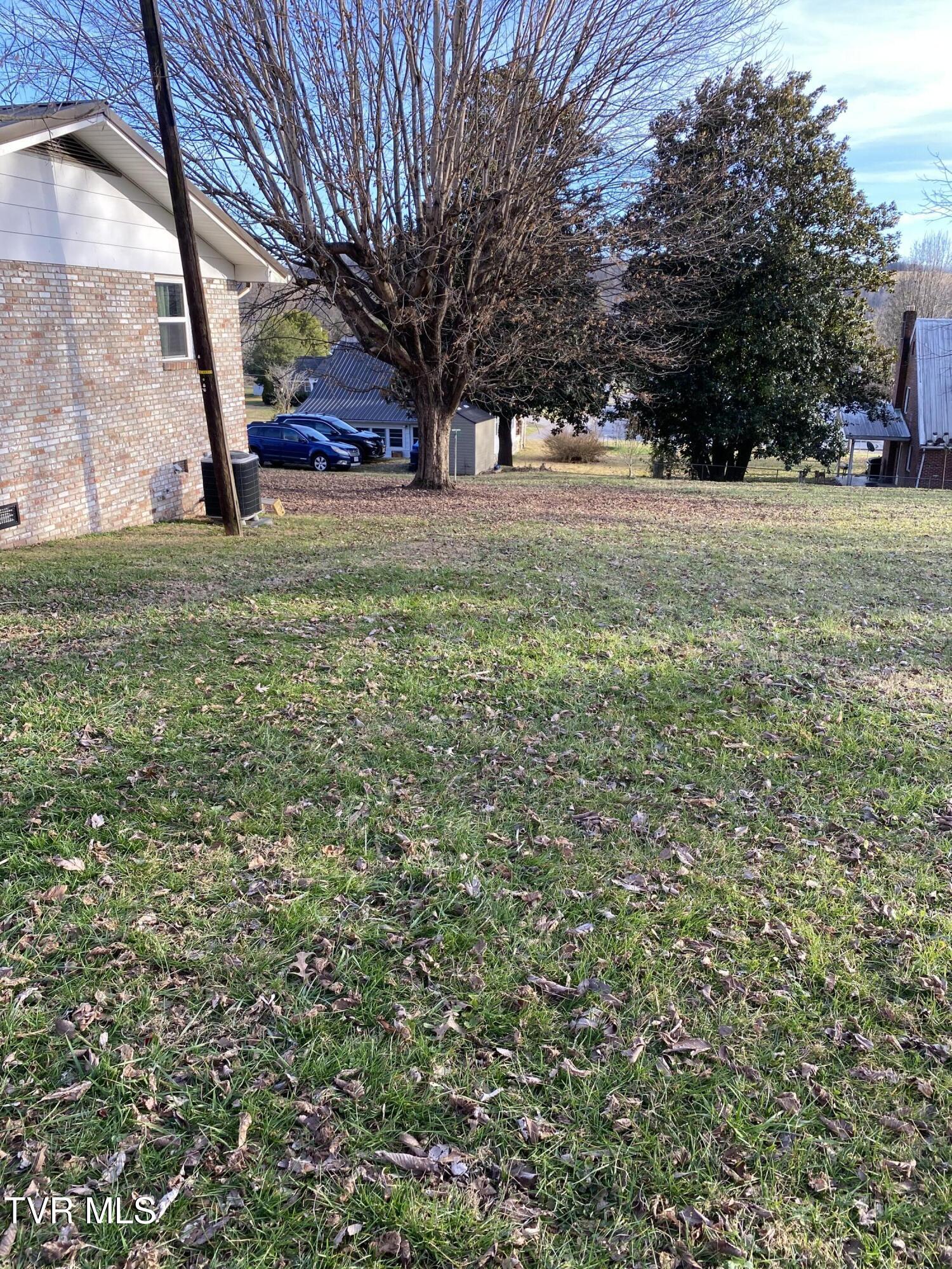 147 Third Street Jonesville, VA 24263 - Photo 4 of 17 side yard