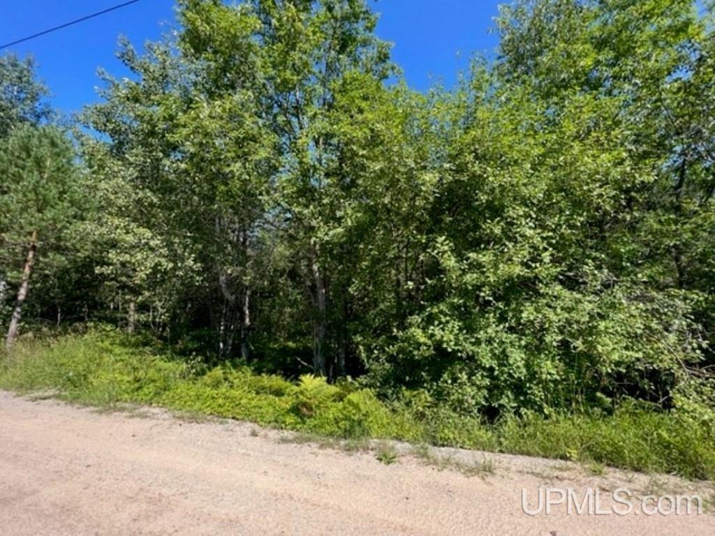Tbd Connors Road Munising, MI 49862 - Photo 1 of 5