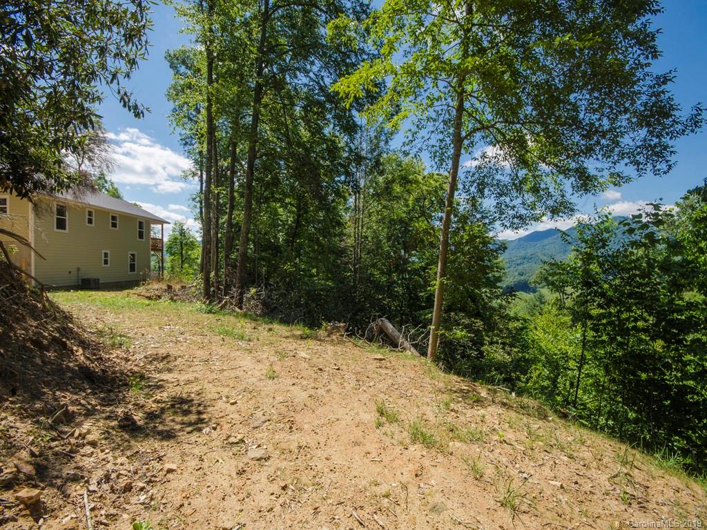 293 Pinnacle Road Burnsville, NC 28714 - Photo 22 of 24 Gallery Image 22