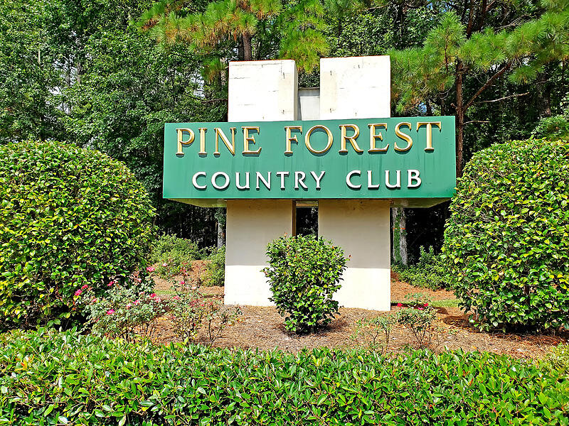 622 Kilarney Road Summerville, SC 29483 - Photo 37 of 55 CREM_PineForest_001