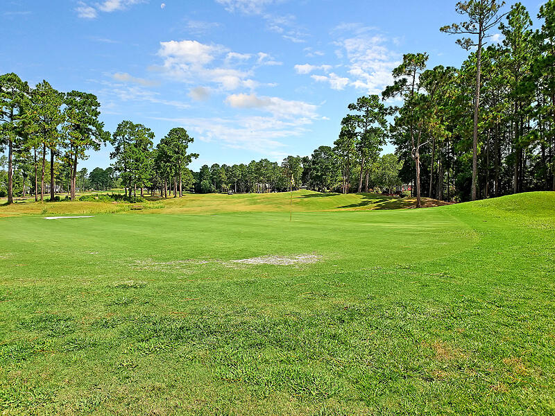 622 Kilarney Road Summerville, SC 29483 - Photo 38 of 55 CREM_PineForest_002