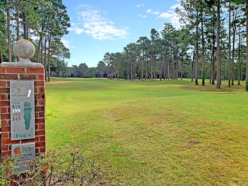 622 Kilarney Road Summerville, SC 29483 - Photo 39 of 55 CREM_PineForest_003