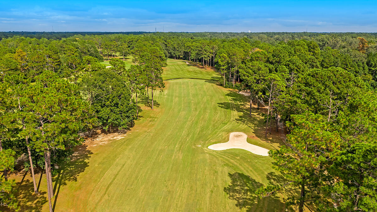 622 Kilarney Road Summerville, SC 29483 - Photo 46 of 55 CREM_PineForest_010