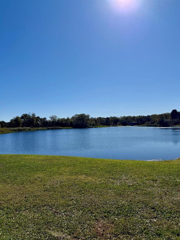 22726 Gage Loop, Unit 43 Land O' Lakes, FL 34639 - Photo 23 of 24 a view of lake with green space