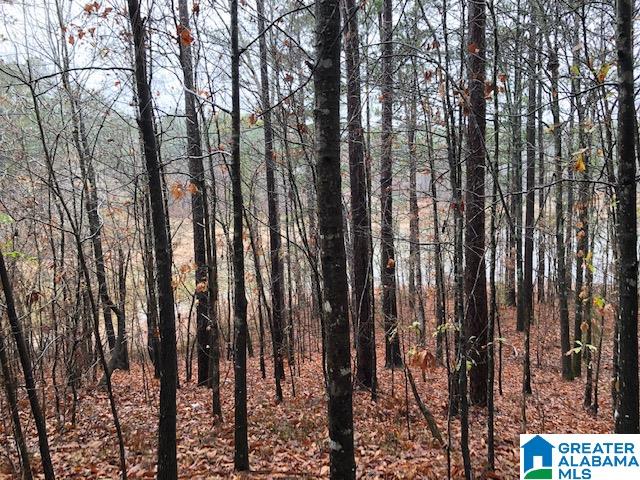0 Lakeside Lane, Unit 31 Alpine, AL 35014 - Photo 37 of 42