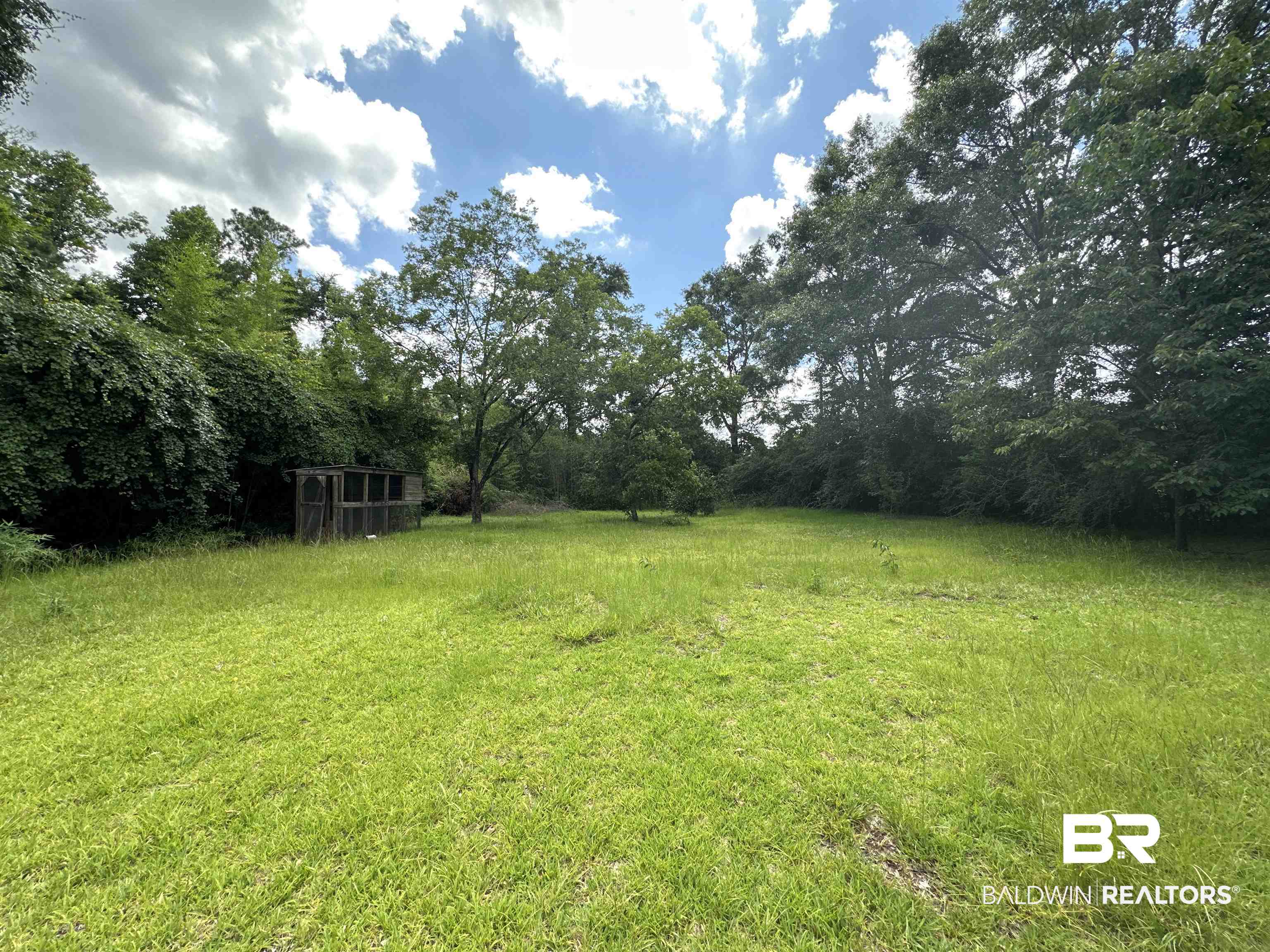 1850 Repoll Drive Mobile, AL 36695 - Photo 5 of 26 View of yard