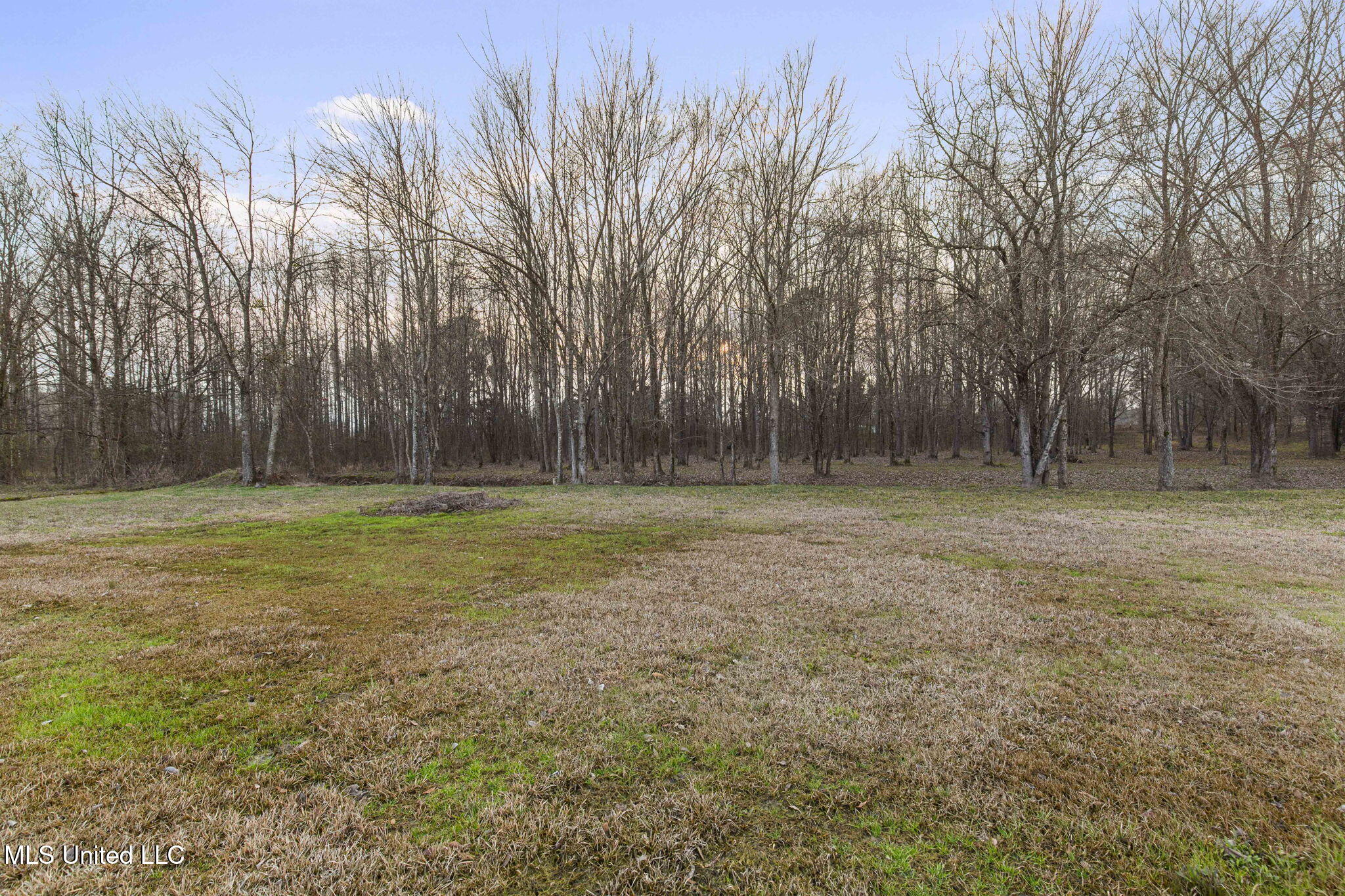 115 Crossview Place Brandon, MS 39047 - Photo 43 of 48 65-web-or-mls-115 Crossview-65