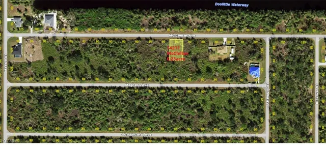 a view of a garden from a window