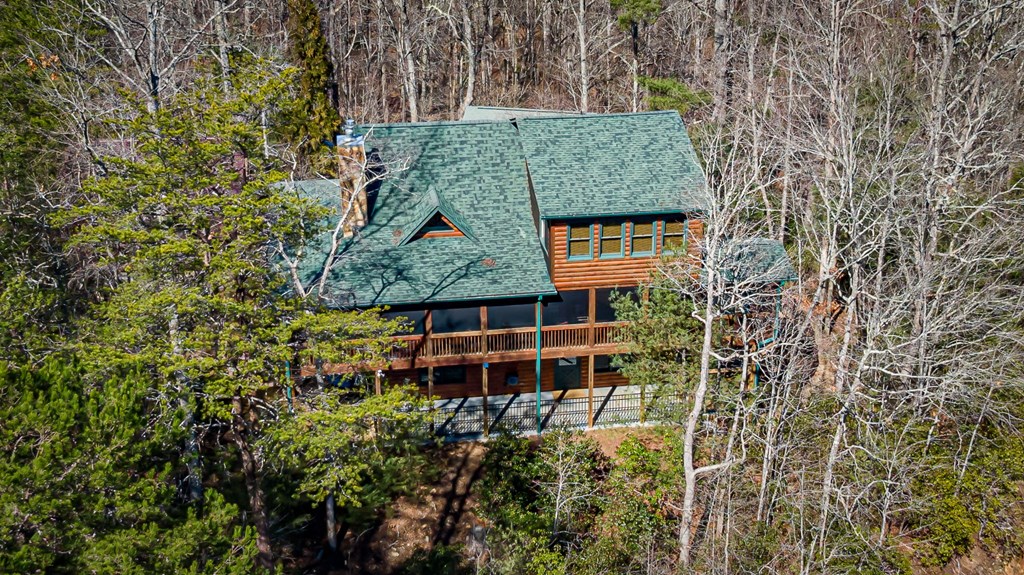 399 South Dream Catcher Blue Ridge, GA 30513 - Photo 9 of 75 an aerial view of a house with a yard