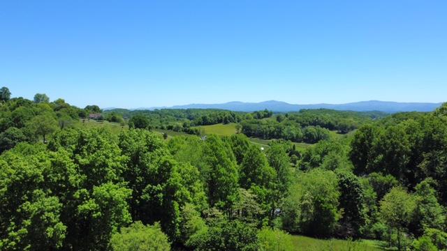 24525 Walden Road Abingdon, VA 24210 - Photo 15 of 40 Gallery Image 15