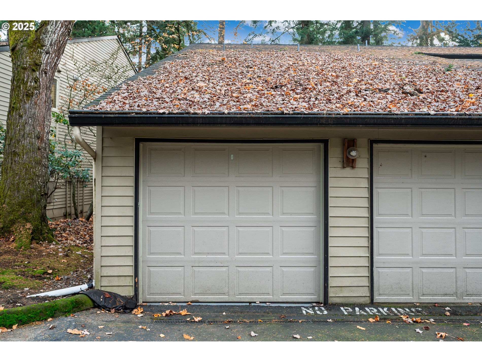 14828 Southwest 109th Avenue Portland, OR 97224 - Photo 37 of 40 a view of a wooden door and a window