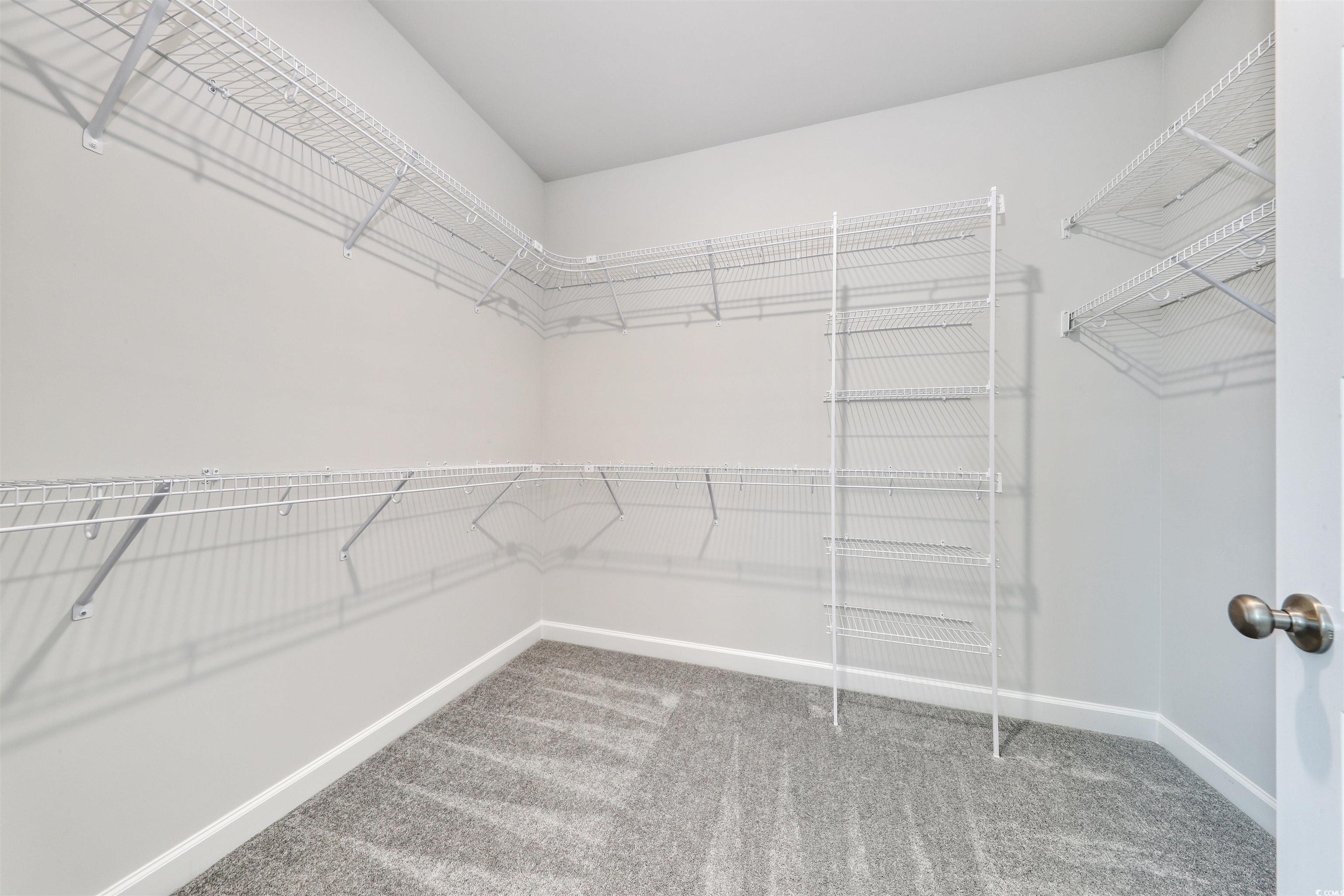 127 Azure Loop Myrtle Beach, SC 29588 - Photo 24 of 39 Walk in closet with carpet flooring