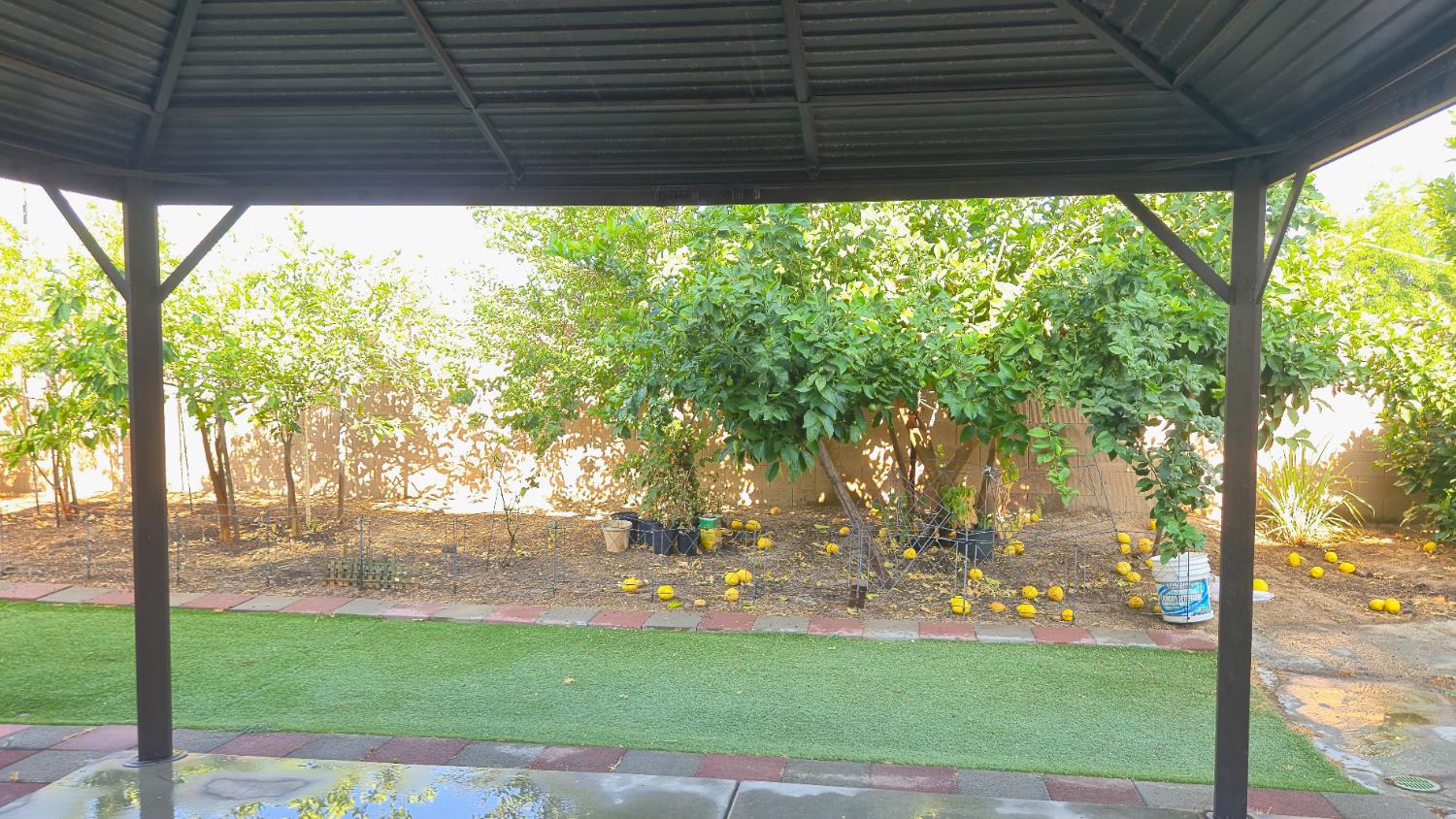 758 Persimmon Street Madera, CA 93638 - Photo 28 of 32 a view of a backyard with large trees