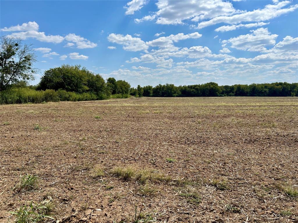 Lot 5 HCR 1439 Covington, TX 76636 - Photo 8 of 8