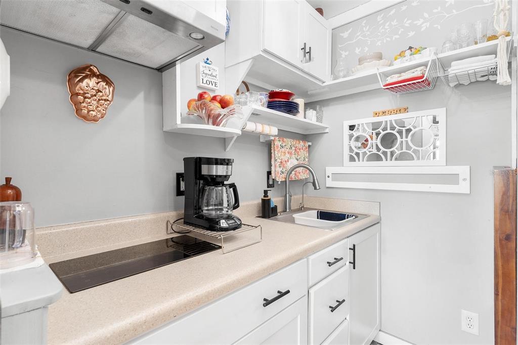 39320 Lake Norris Road Eustis, FL 32736 - Photo 90 of 94